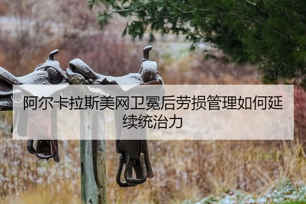 a-er-ka-la-si-mei-wang-wei-mian-hou-lao-sun-guan-li-ru-he-yan-xu-tong-zhi-li-2-461.jpg