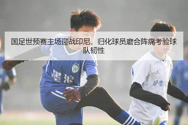 国足世预赛主场迎战印尼，归化球员磨合阵痛考验球队韧性