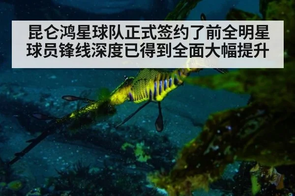 昆仑鸿星球队正式签约了前全明星球员锋线深度已得到全面大幅提升